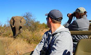 Motswari Private Game Reserve - Timbavati Klaserie Private Nature Reserve Eksteriør billede