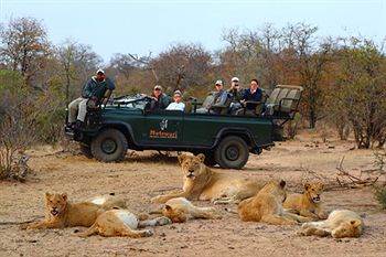 Motswari Private Game Reserve - Timbavati Klaserie Private Nature Reserve Eksteriør billede