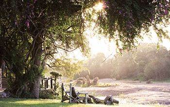 Motswari Private Game Reserve - Timbavati Klaserie Private Nature Reserve Eksteriør billede