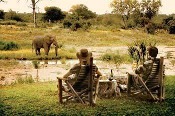 Motswari Private Game Reserve - Timbavati Klaserie Private Nature Reserve Eksteriør billede